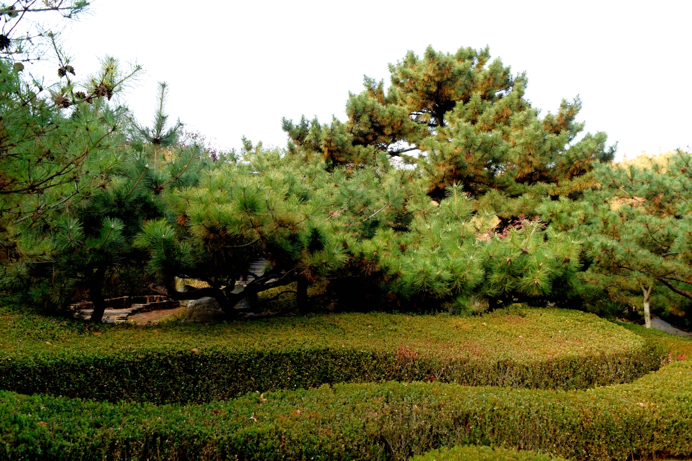 初冬大连滨海路202011