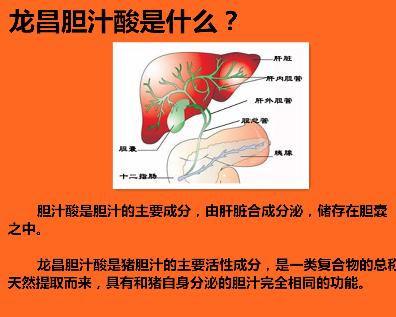 龙昌胆汁酸濮阳实效反馈