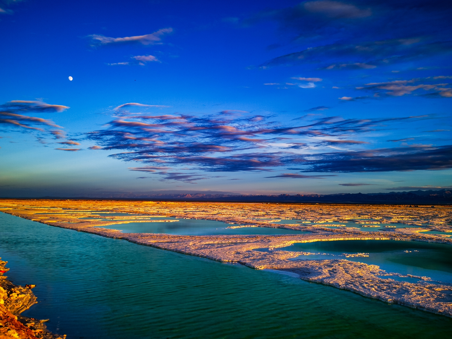 第60期五湖四海摄影群《夏日掠影》《荷花》主题作品展