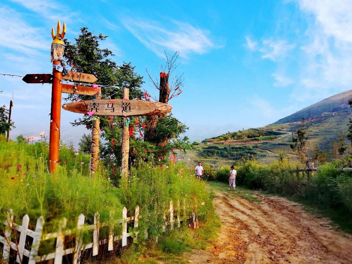 风光秀美万安山高山牧场让你体验蒙古族别样风情