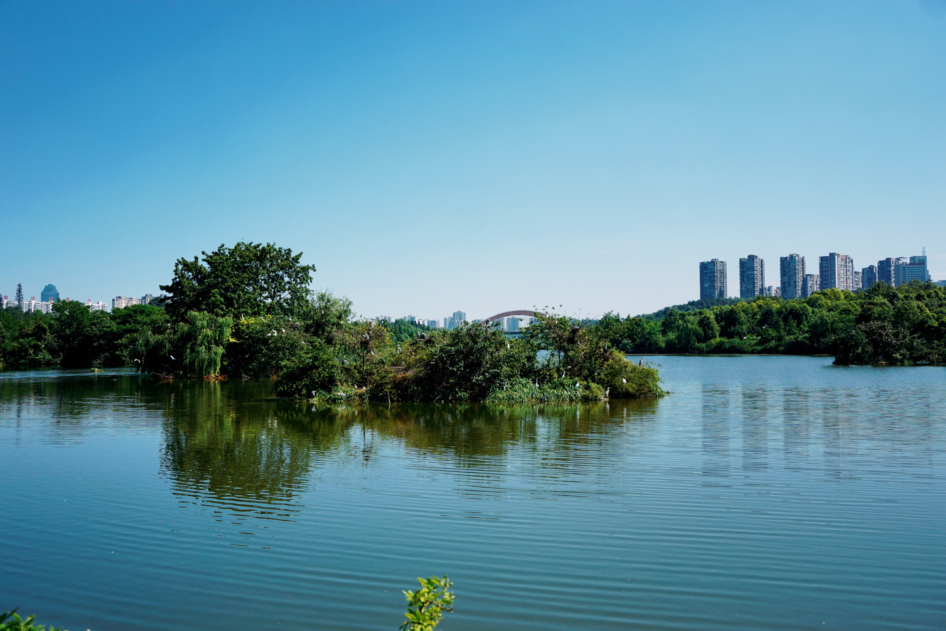 贵阳观山湖公园,是贵阳首个省级生态体育公园,公园占地面积5500