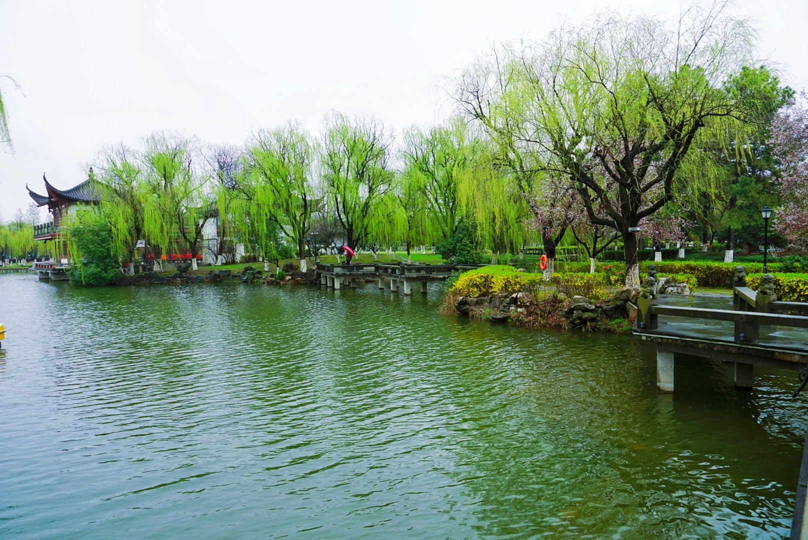 《首发》江南春