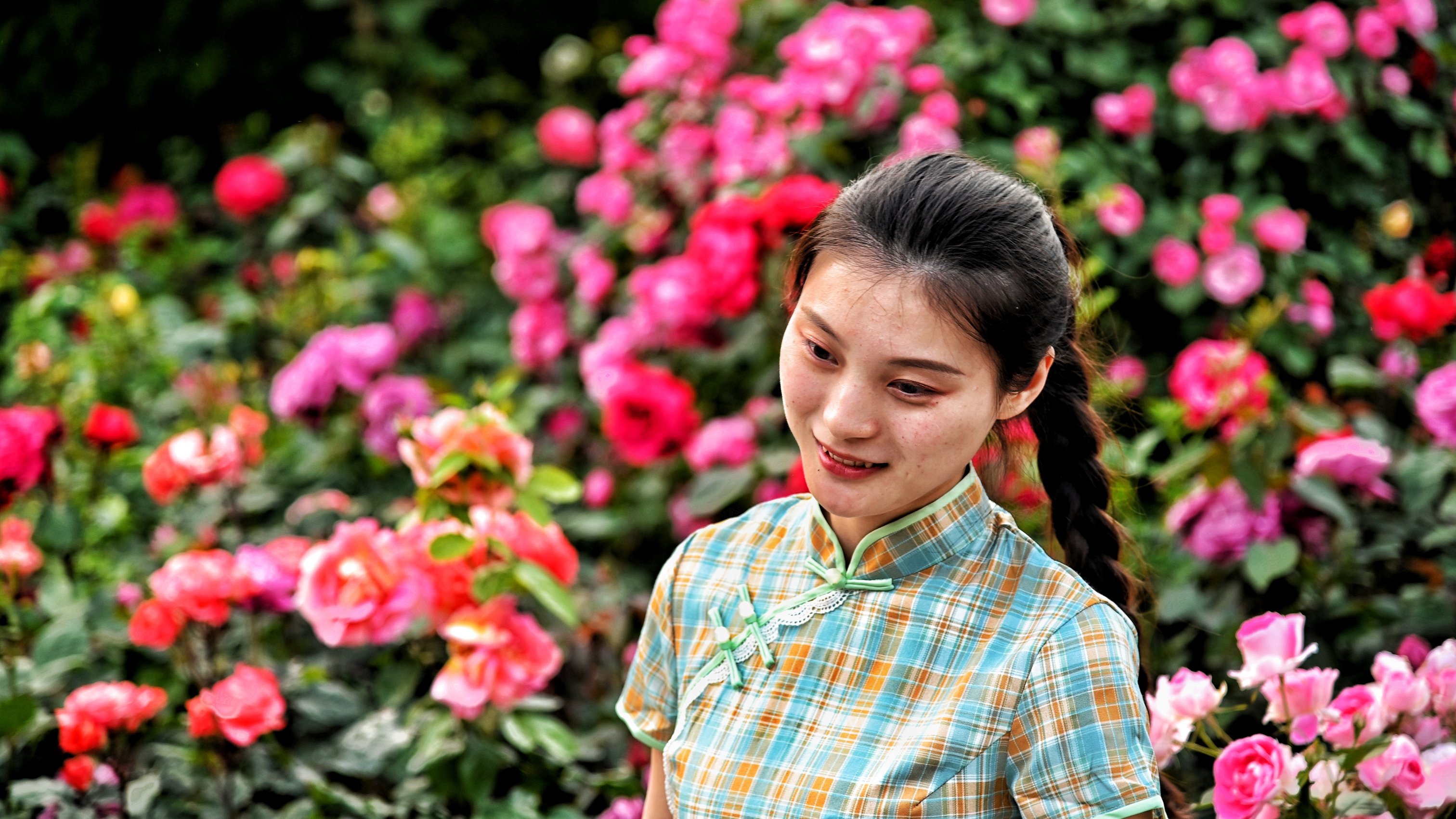 她在花丛中……《首发》