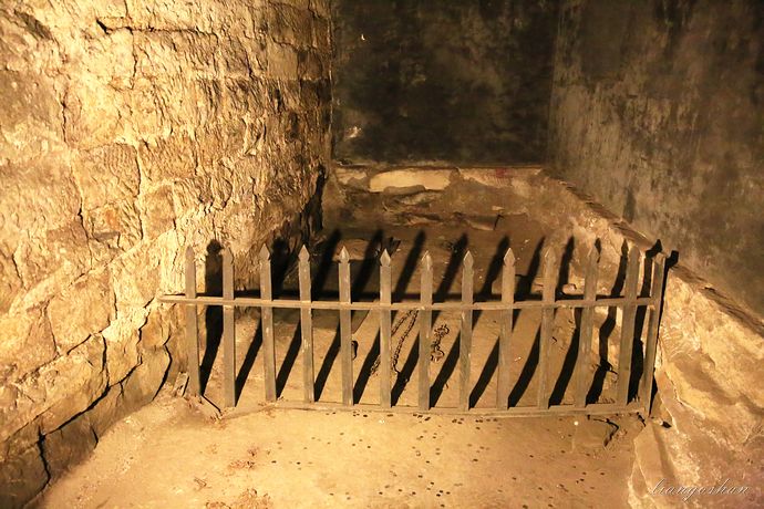 "一阵狂风卷过,寒气阵阵袭来,矗立在签子门边的余新江浑身发冷,禁不住