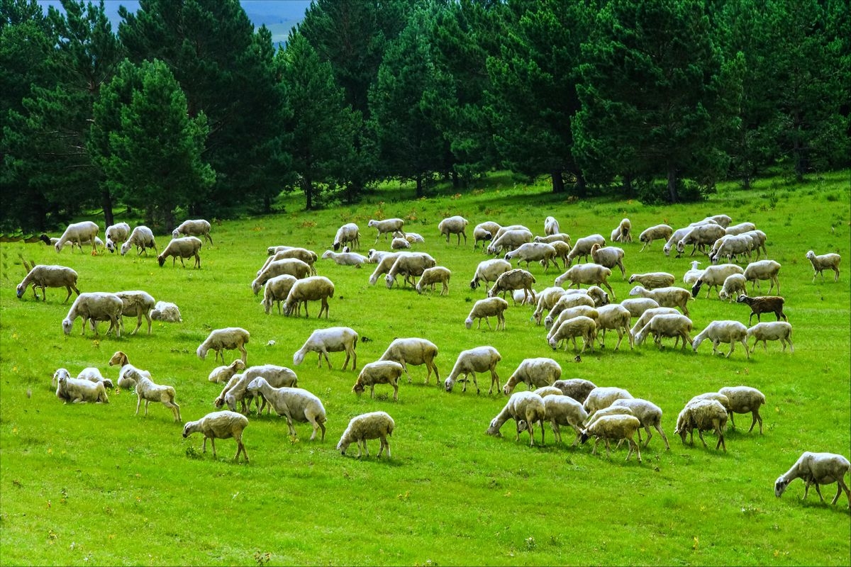 魅力巴彦嵯岗内蒙古巴彦嵯岗旅游摄影基地采风作品