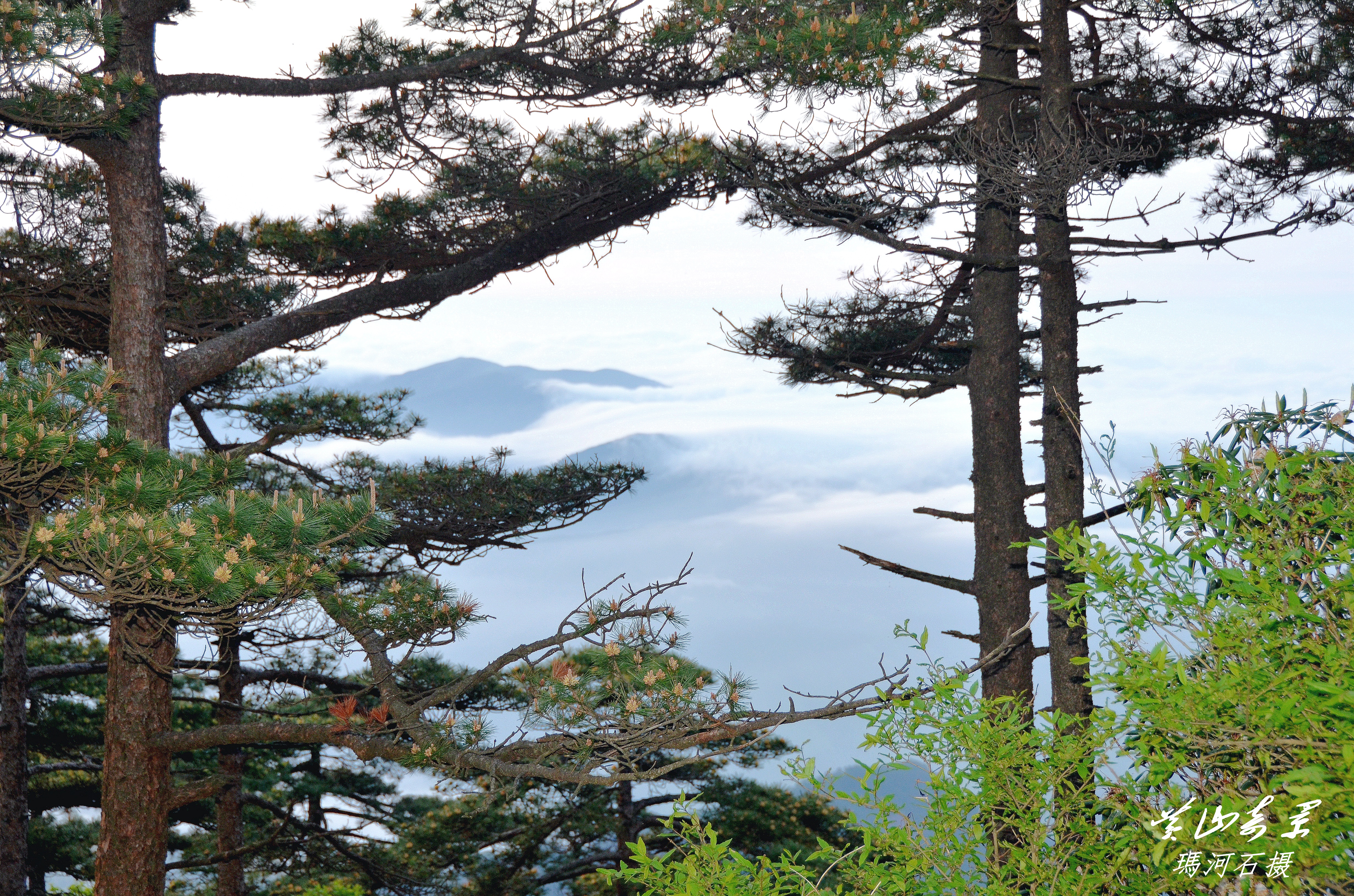 祖国山河壮丽风景如画短片黄山风光欣赏摄影玛河石