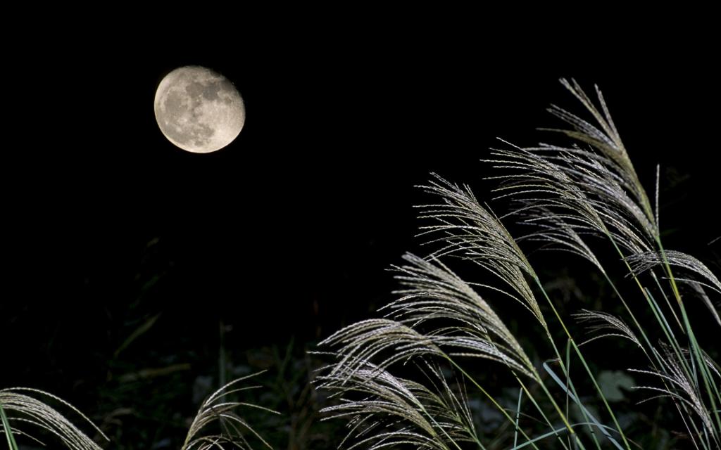 这个夜晚,在北京 我为月光下的中国写着一首诗 窗外的月亮正在上升 如
