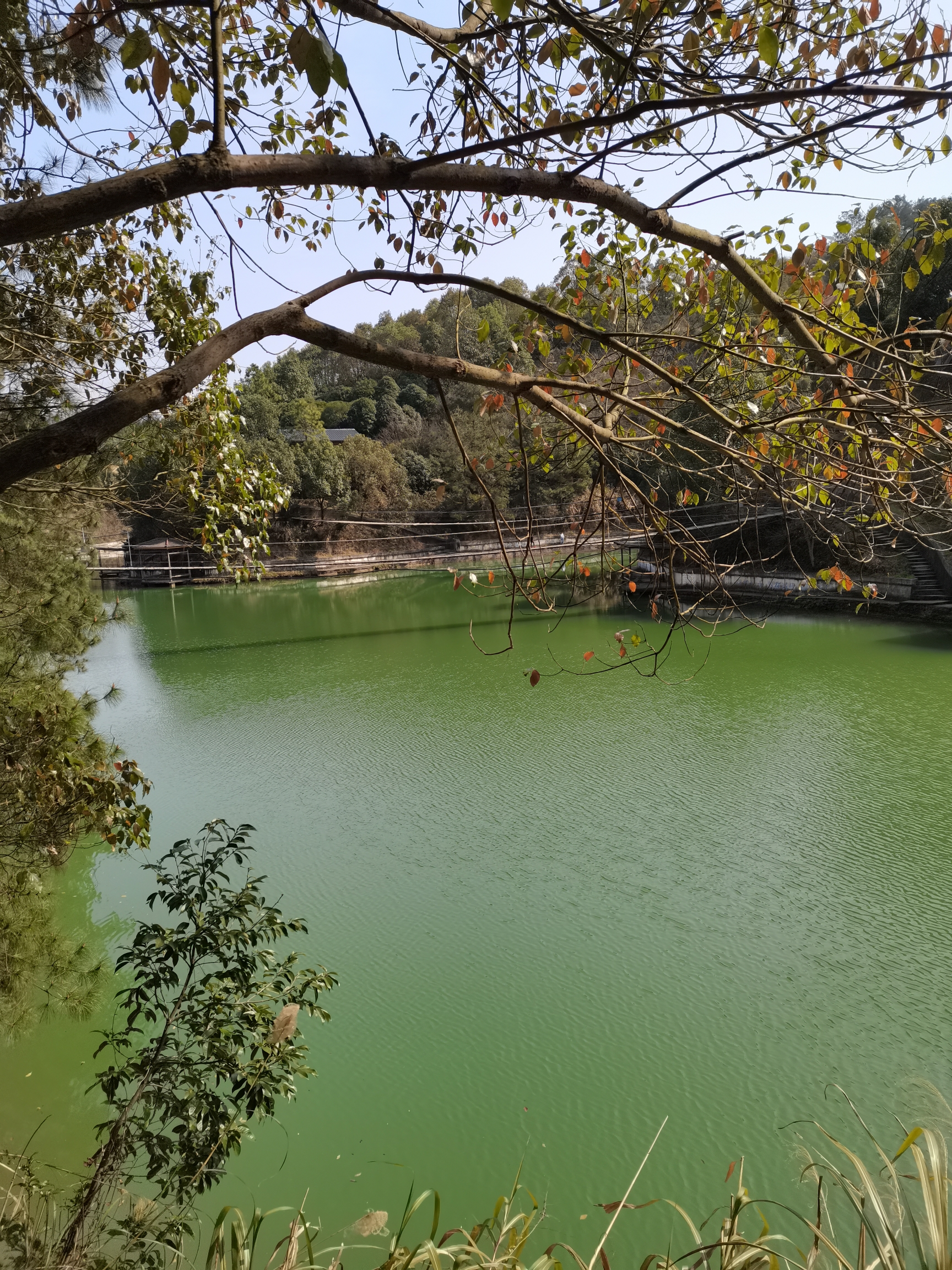 大泉山村家乡美