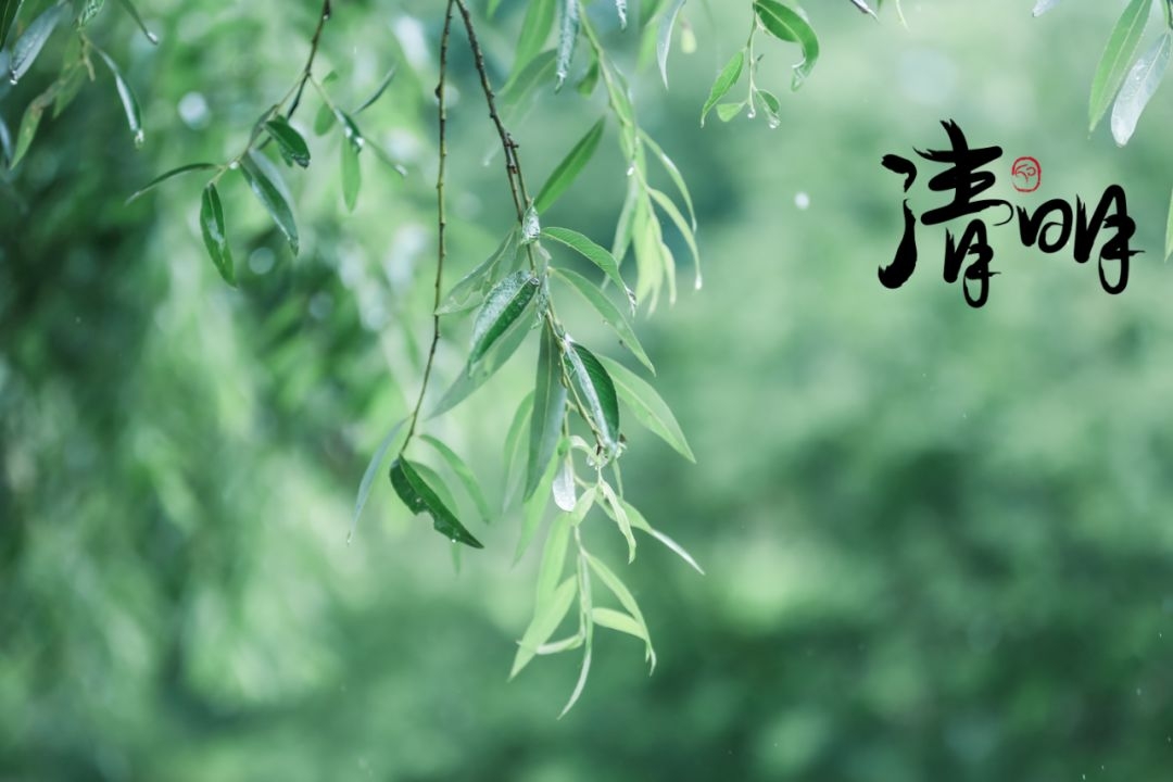 清明思念!