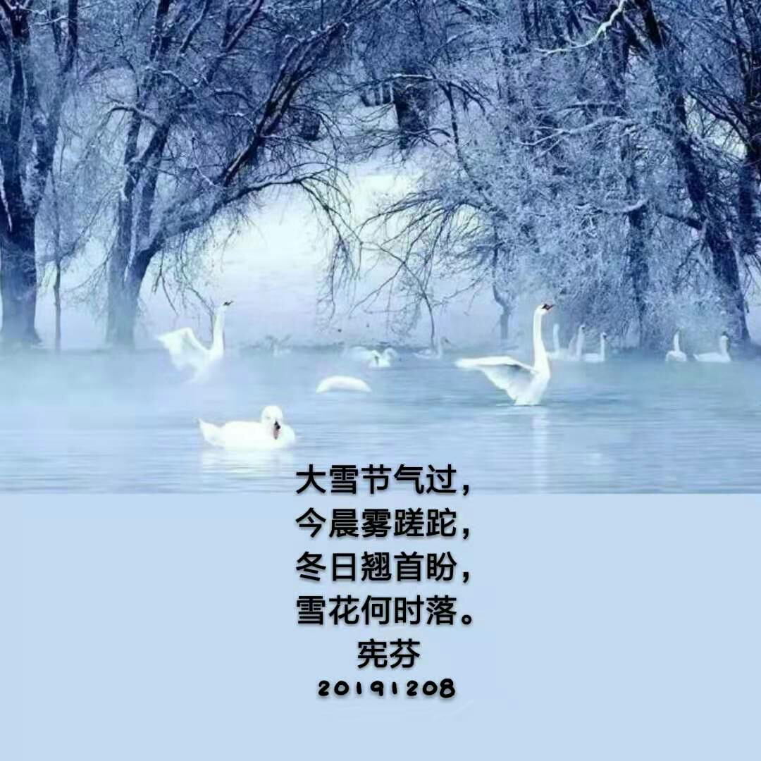 2019.12月寒冬腊月北风尽,一派冬景群中来,诗图天天有风彩