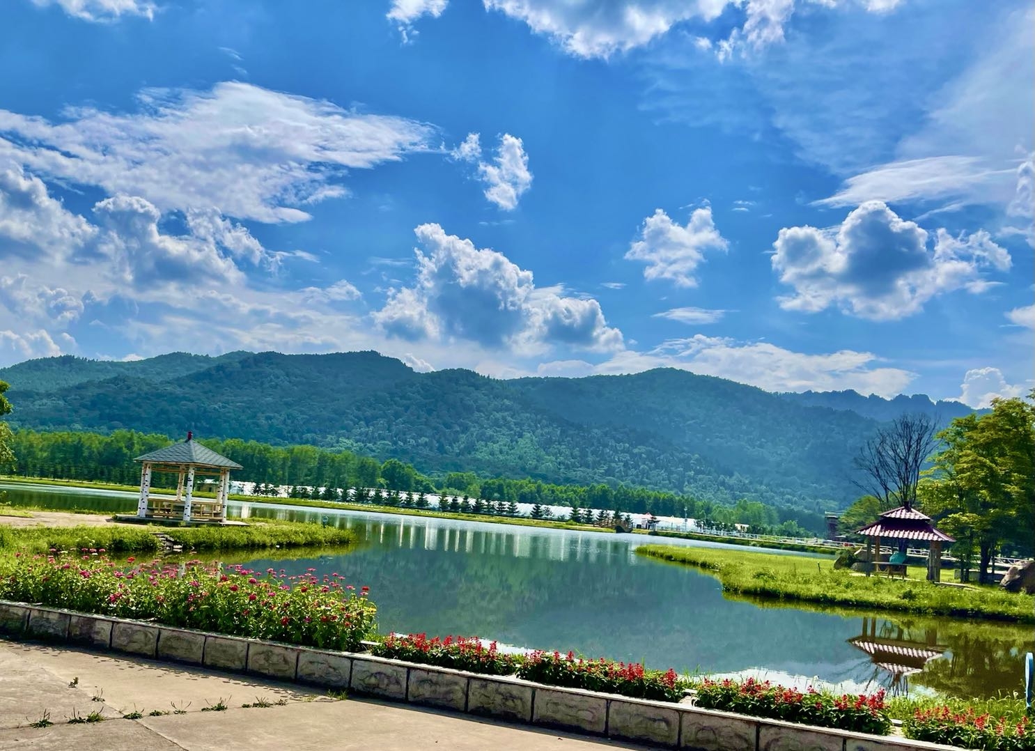 伊春市金山区"九峰山养心谷". 2021年手机拍摄—23.