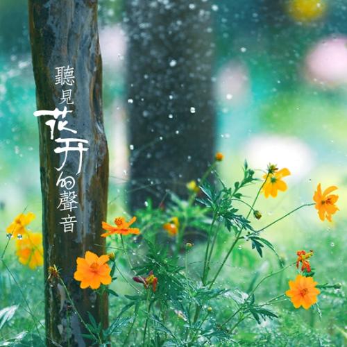 花開的聲音納木錯心結誦讀蕭碩木雨