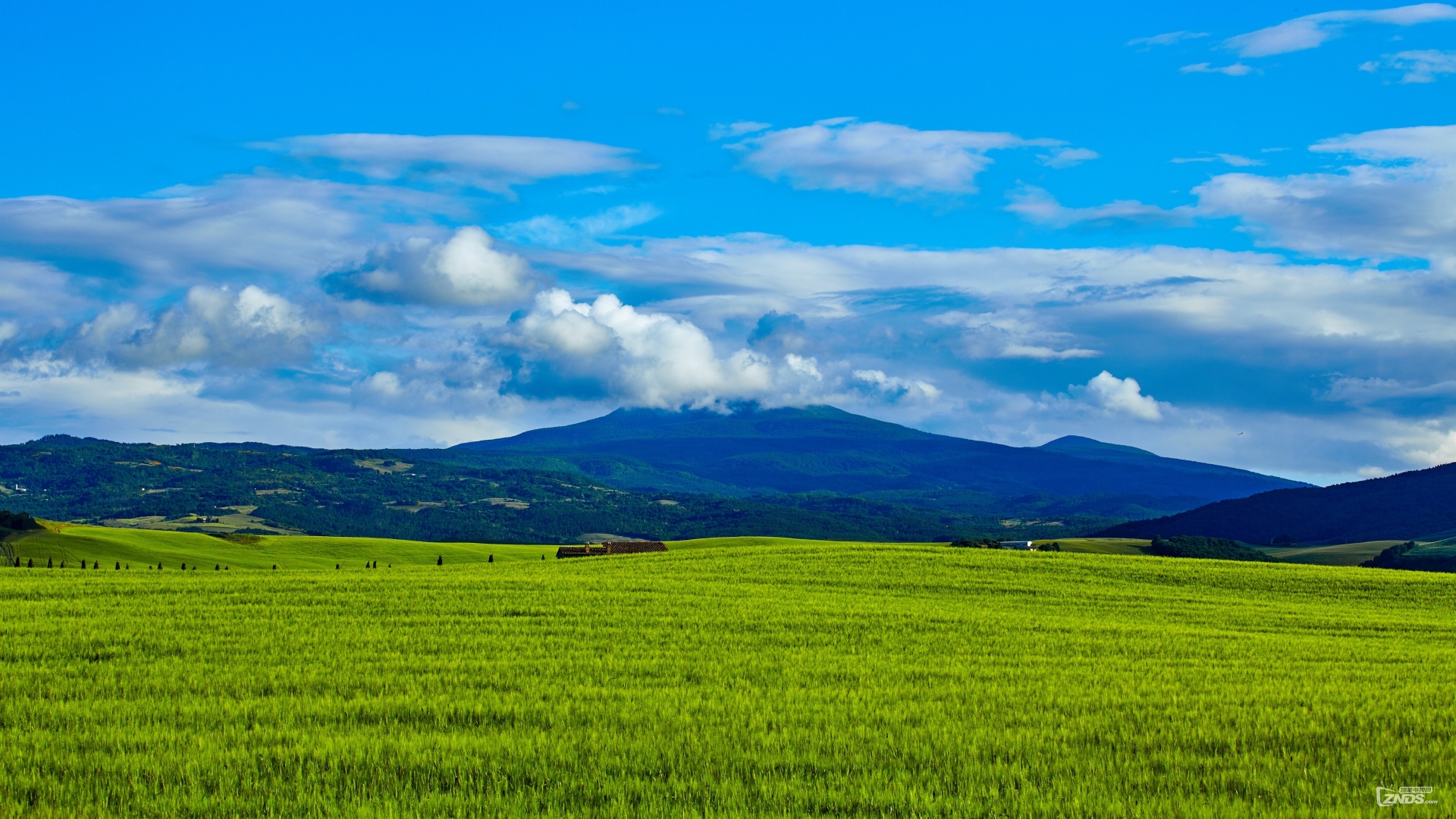 迪梦音画●休闲