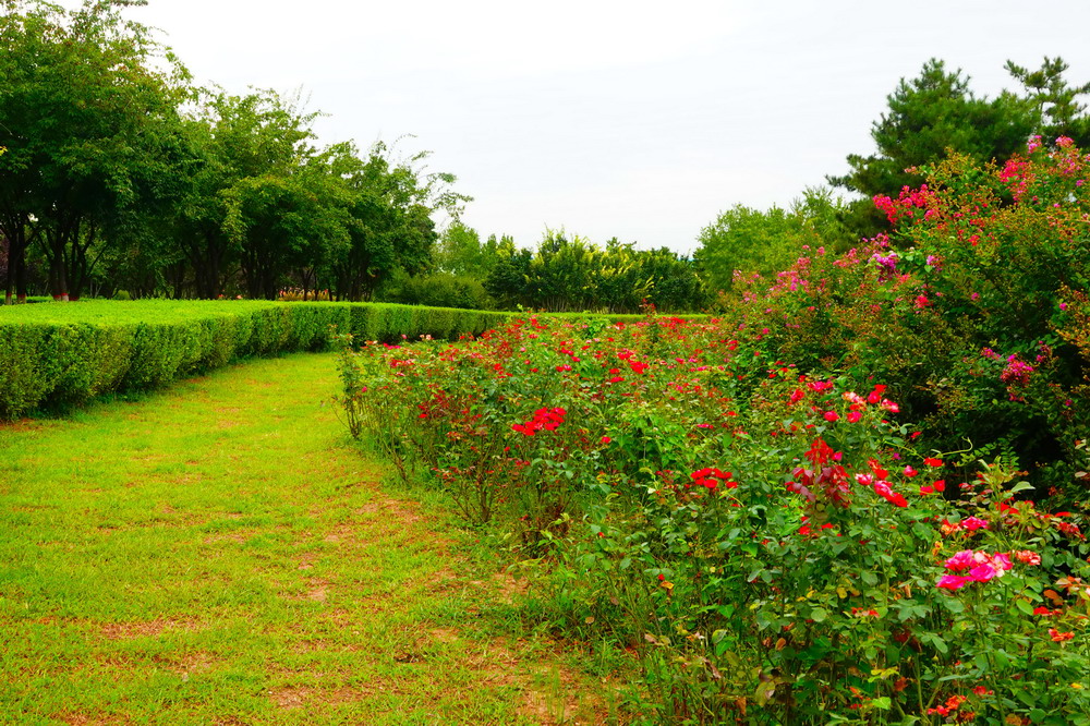暑游新寺遗址公园记
