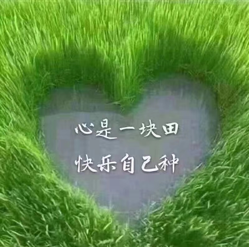 心是一块田快乐自己种走出喧嚣城寄情山水间