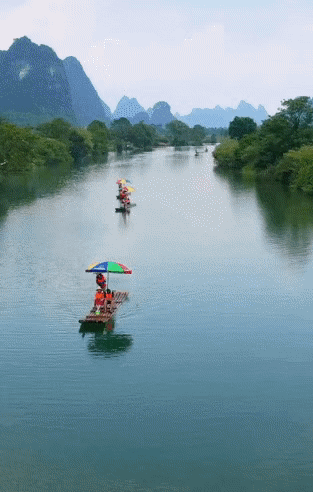 313_492竖版 竖屏gif 动态图 动图