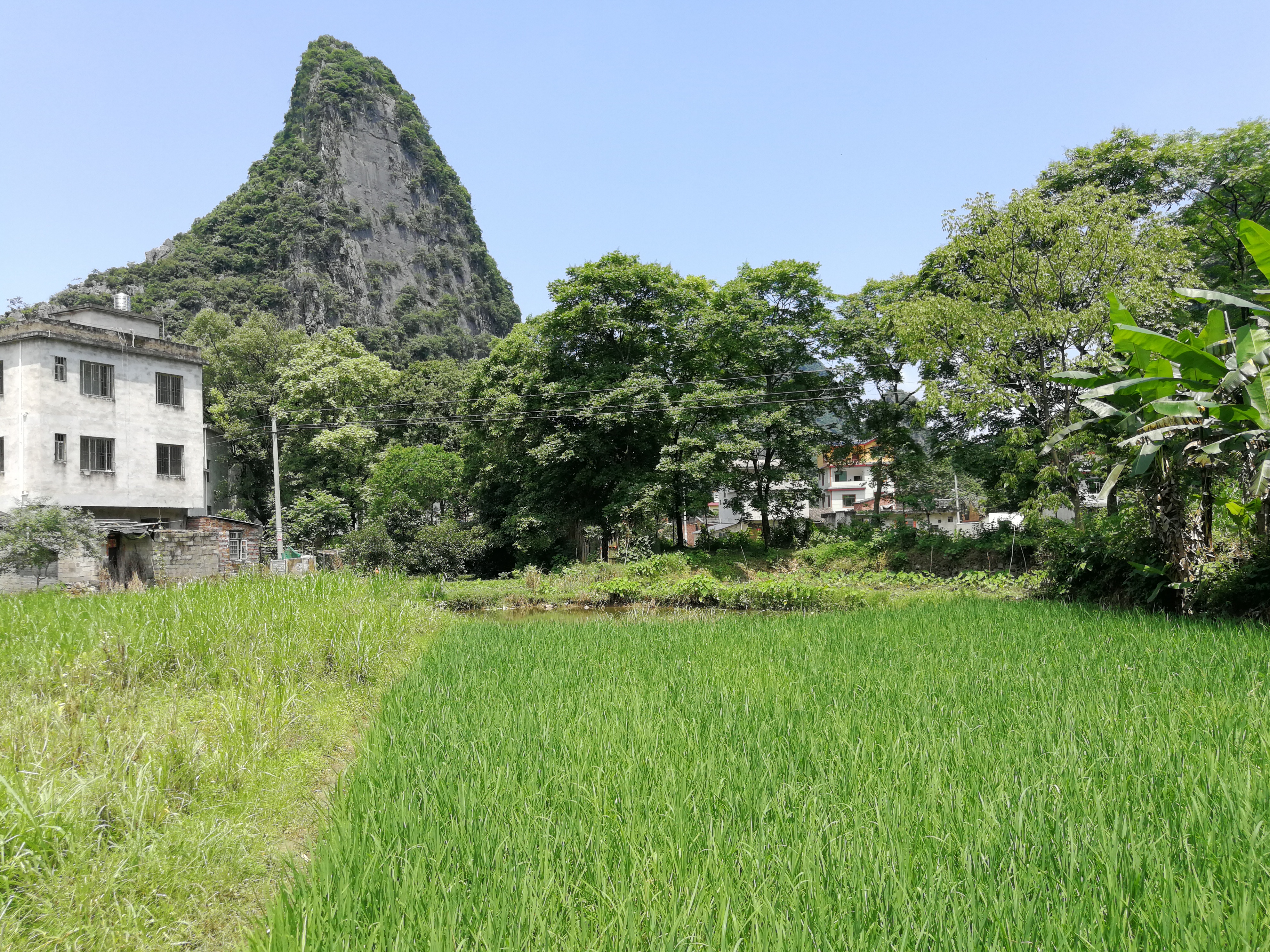临桂田心村风光