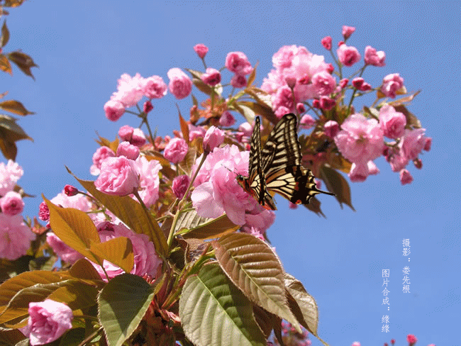 650_488gif 动态图 动图