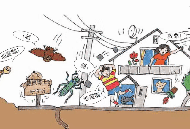 防震小知识2008年5月12日,一场有着巨大破坏力的地震在四川汶川发生