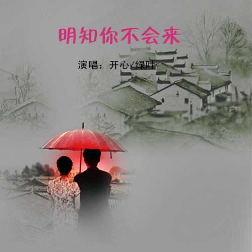 明知你不会来dj舞曲