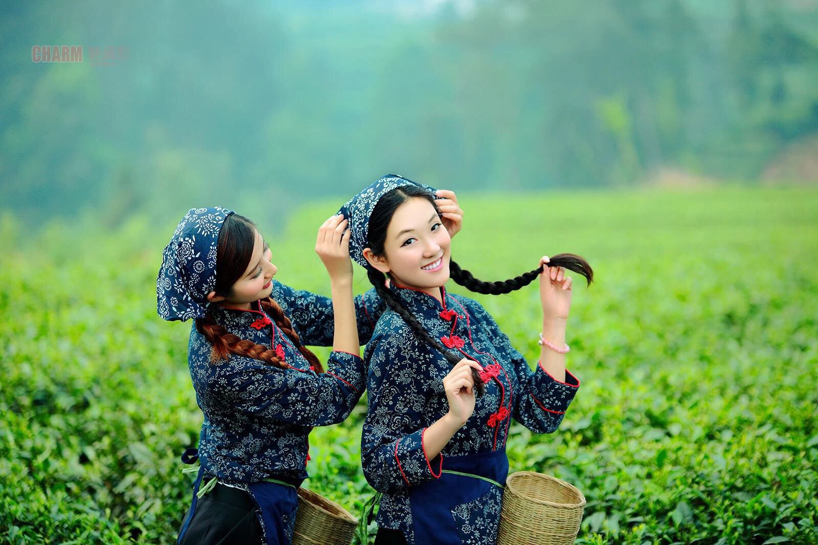 对未来美好生活的憧憬恬静温柔善良而美丽的采茶女遥望茶山云雾绕