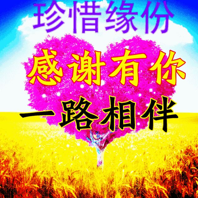 你不来我不老