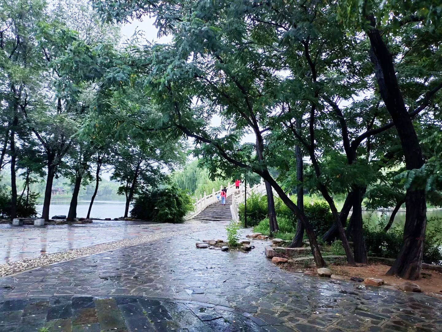 首发〕雨后公园美景