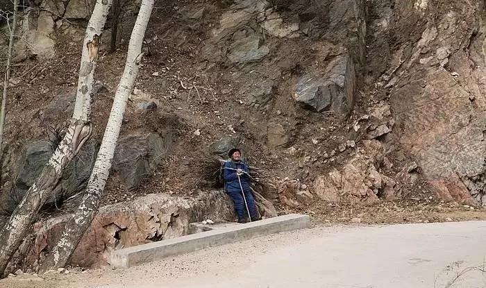 满仓娘作者佚名诵读老顽童