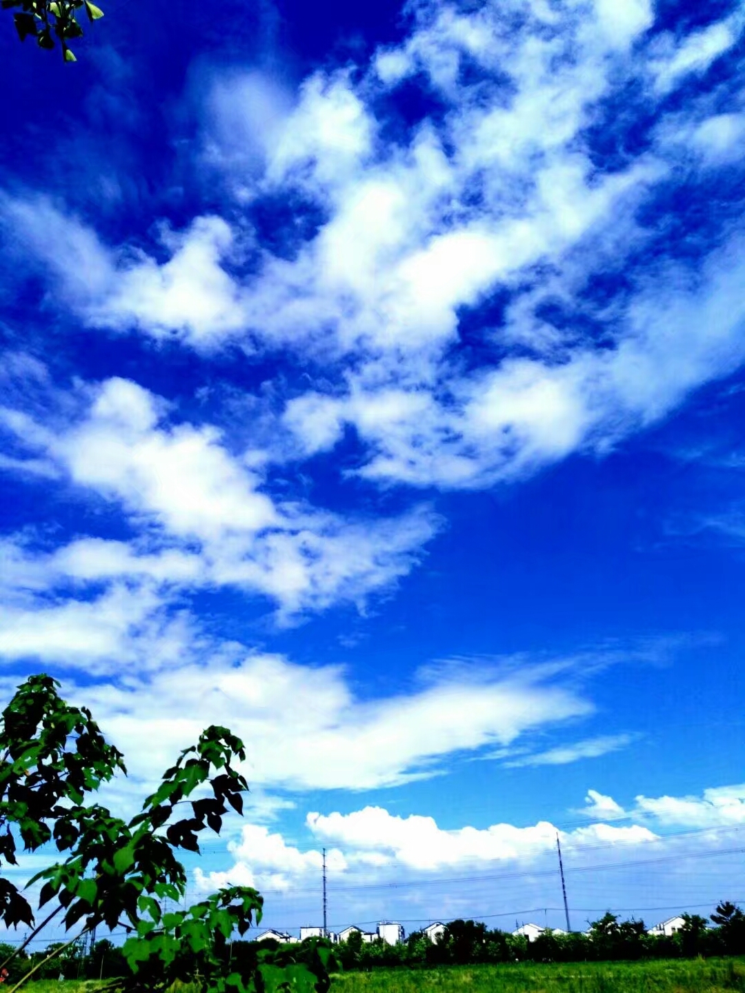 高增柱摄影丽水云天