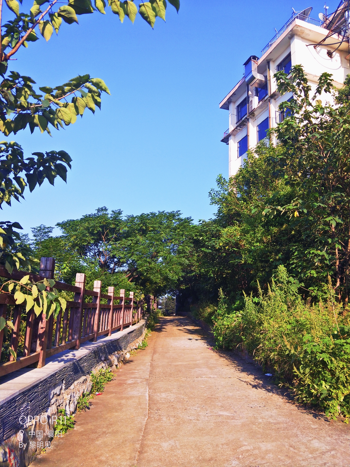 襄城环岘山绿道图片