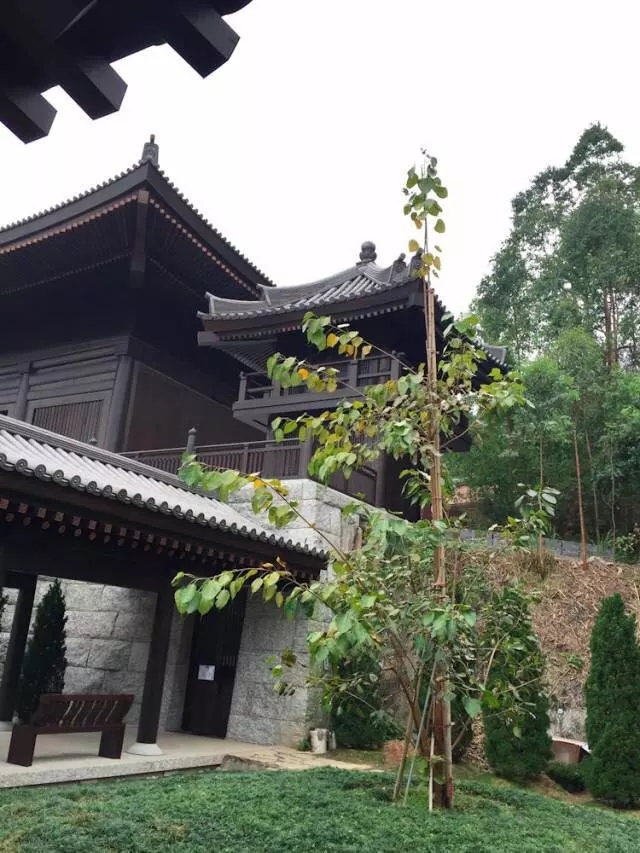 李嘉诚建慈山寺里面只供水不烧香还有防弹设备转载消业障