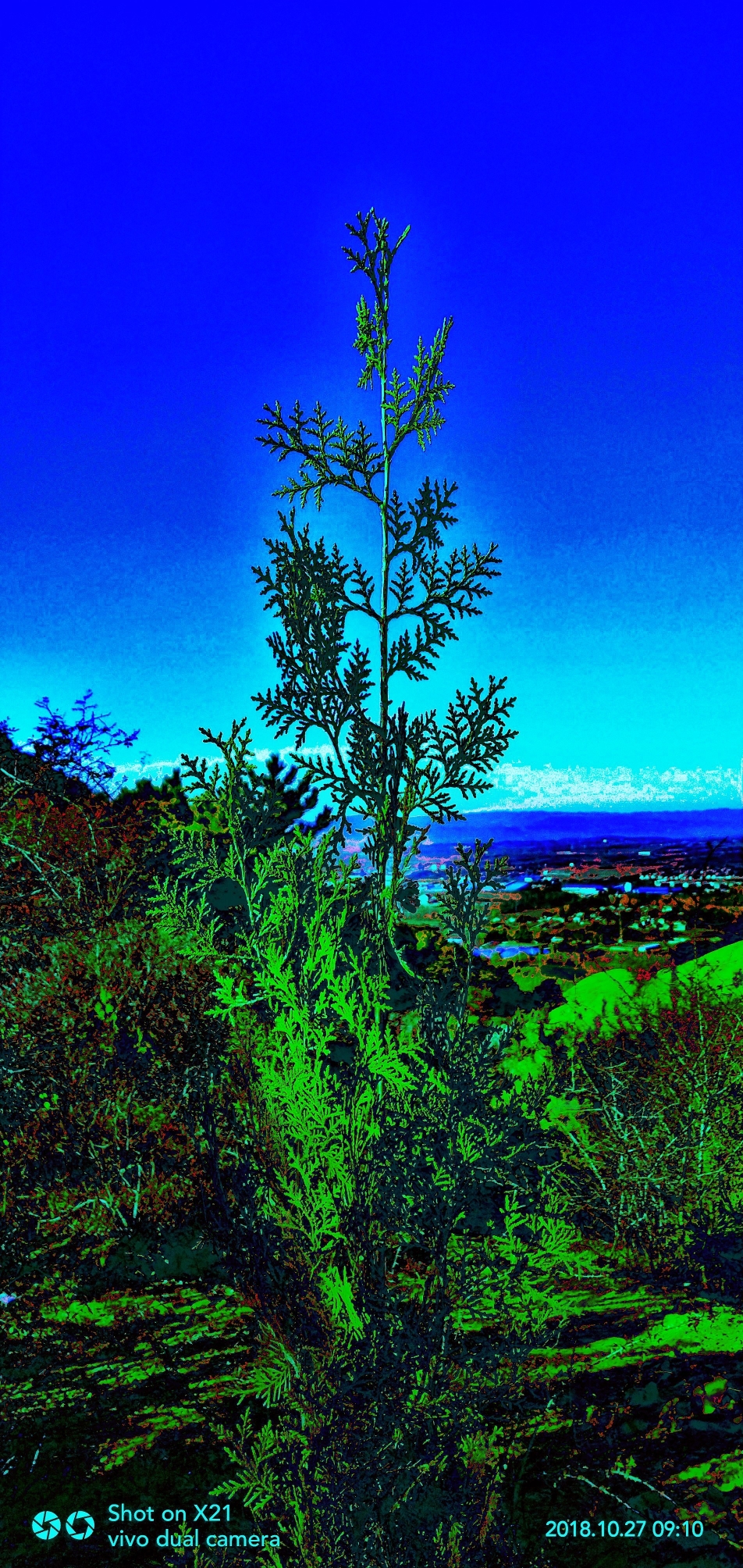 随拍大自然的风景