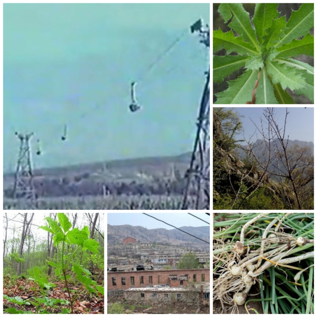 学生时代都是在华铜铜矿子弟小学,中学度过的,上山下乡及当兵复员后