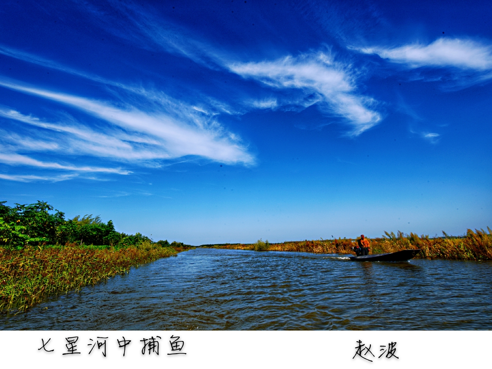 建三江七星河湿地风光