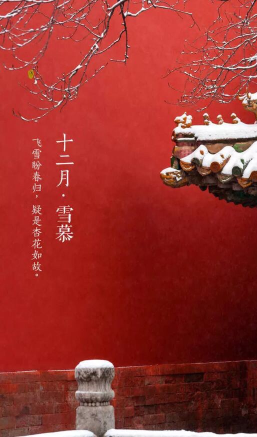 为谁醉倒为谁醒?老来旧事无人说.记得去年,探梅时节.