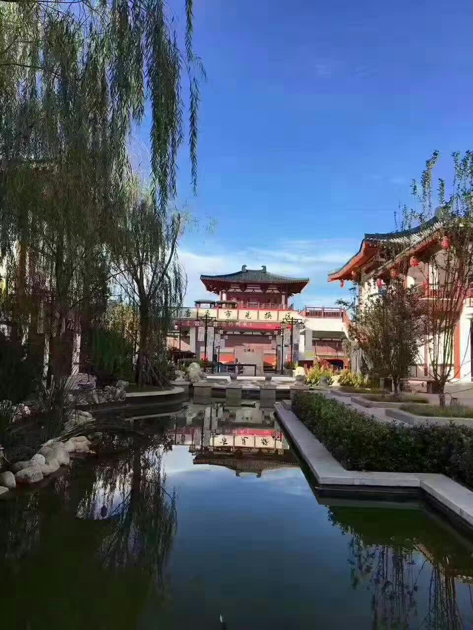 里的老飞机中山公园一角定州人民商场美女帅哥好看不定州通达庄园一角