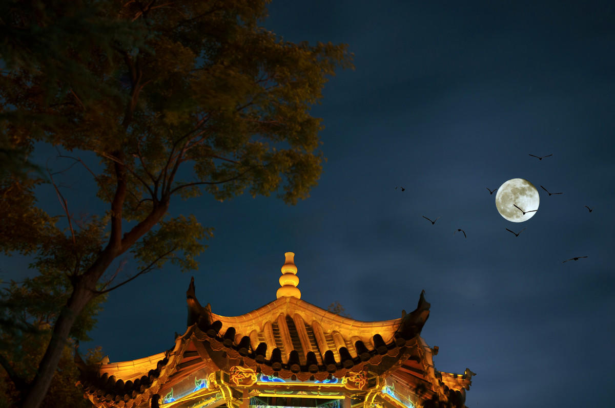 (高山景行) 晓月楼初上,灾区共抗洪. 田洼逢大雨,体冷伴微风.