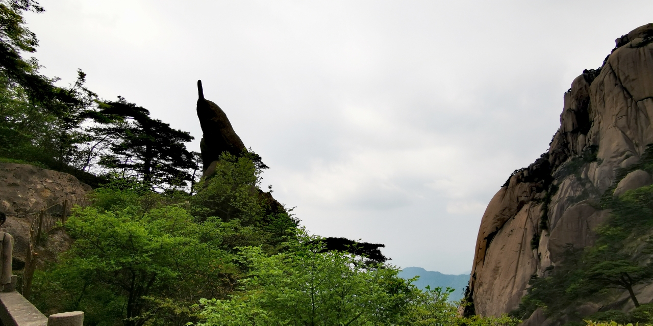 黄山奇石孔雀望天图片