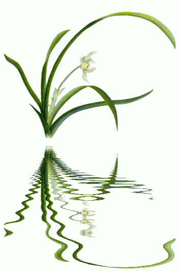 350_531竖版 竖屏gif 动态图 动图