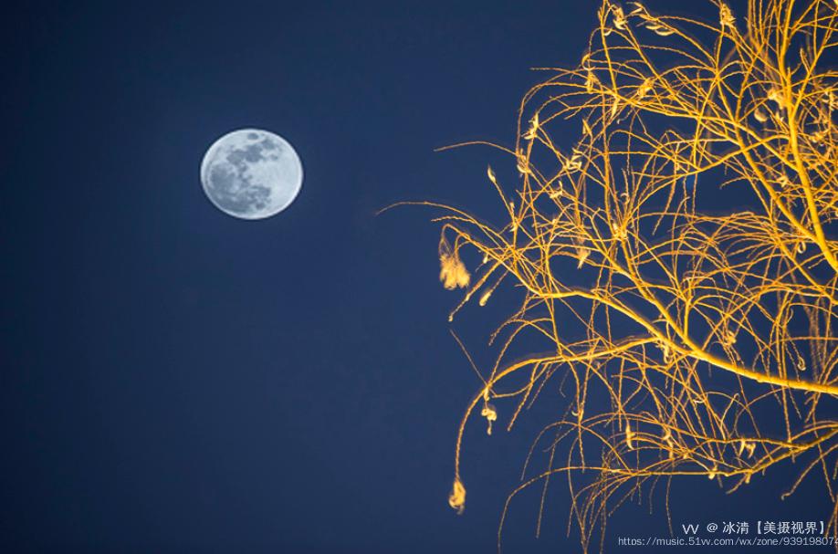 一轮明月寄相思(首发)