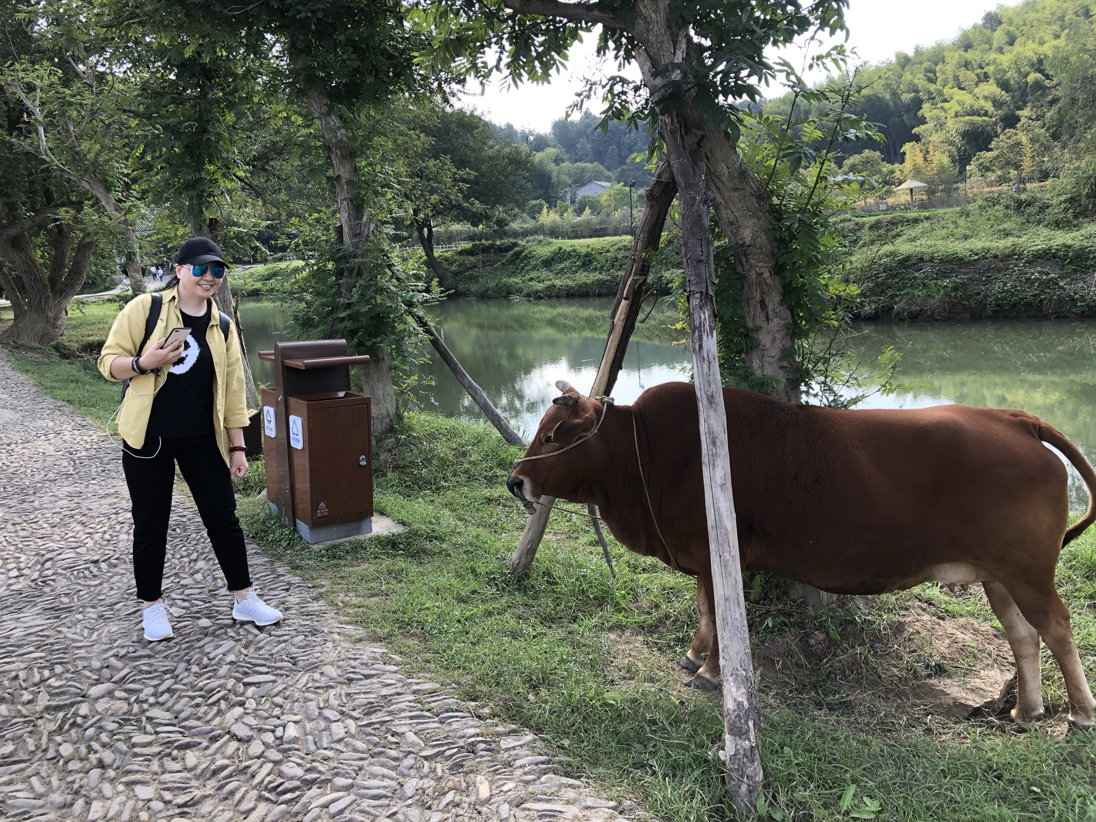 峰脚下的倒影在朱潭山看鼎湖峰倒影早餐后驱车四十分钟前往仙都山景区