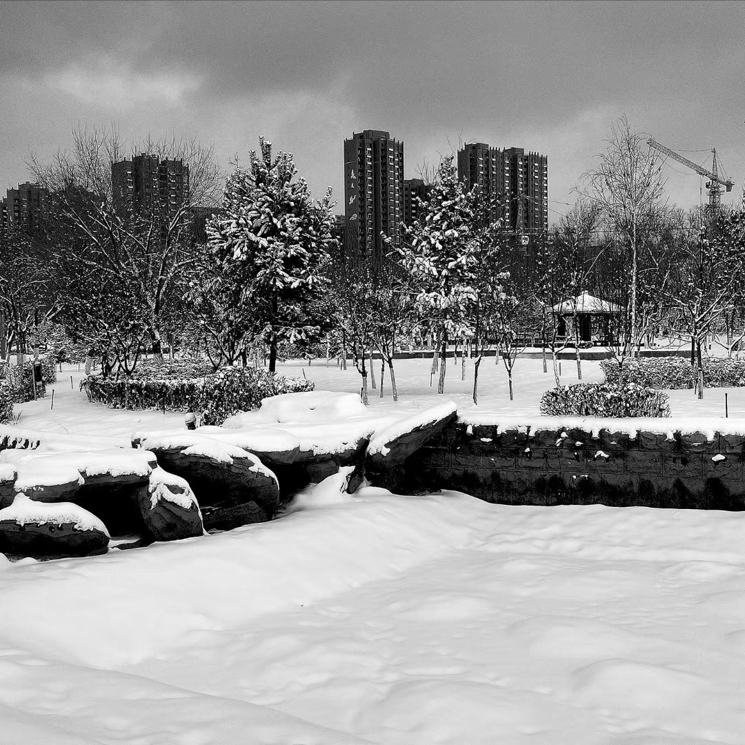 石河子景观河的冬季
