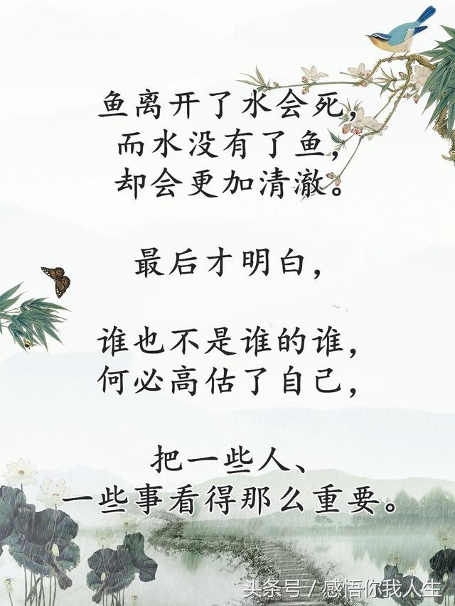 感悟品味人生百态