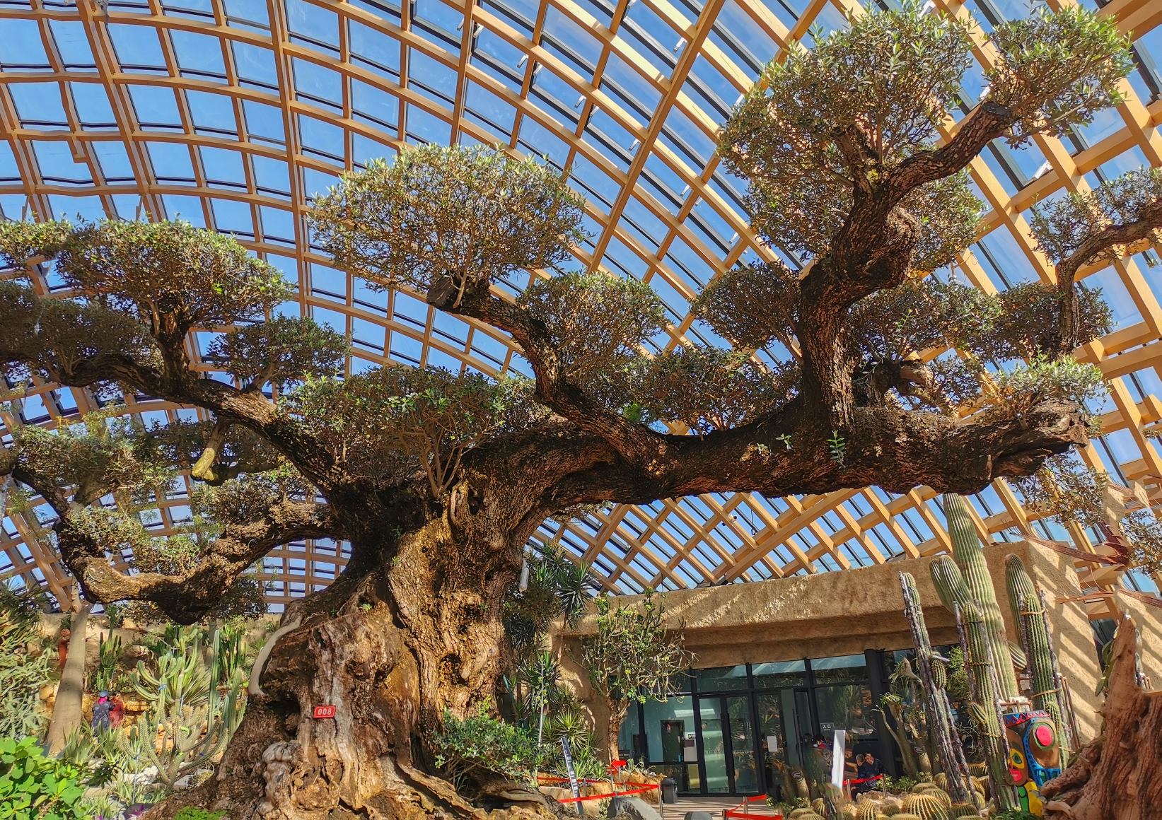 太原植物园景区照片图片