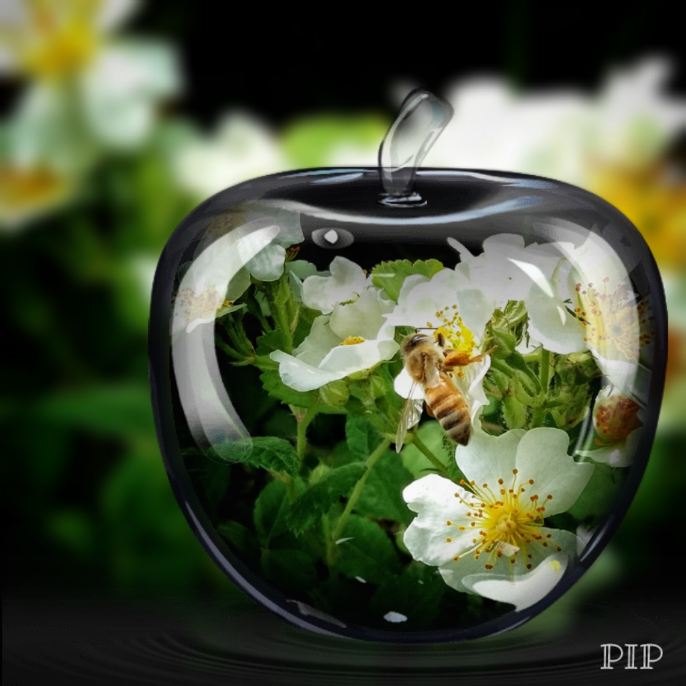 拈花一笑心自柔