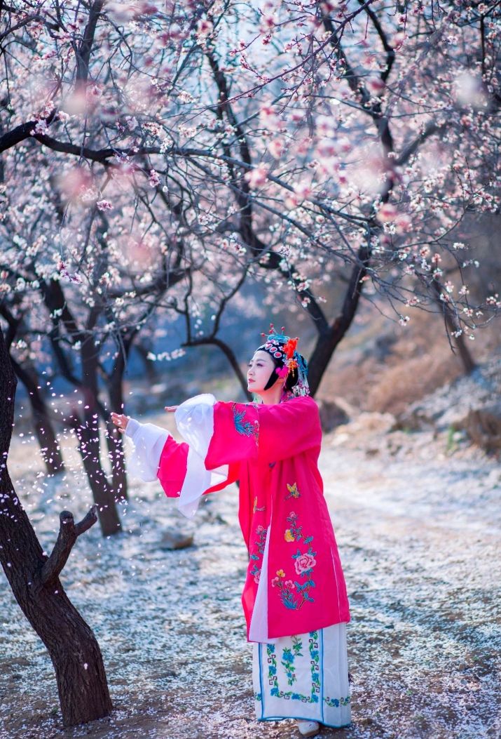 梨花落 春入泥梨花开 春带雨《梨花颂》为大型交响京剧《大唐贵妃》的