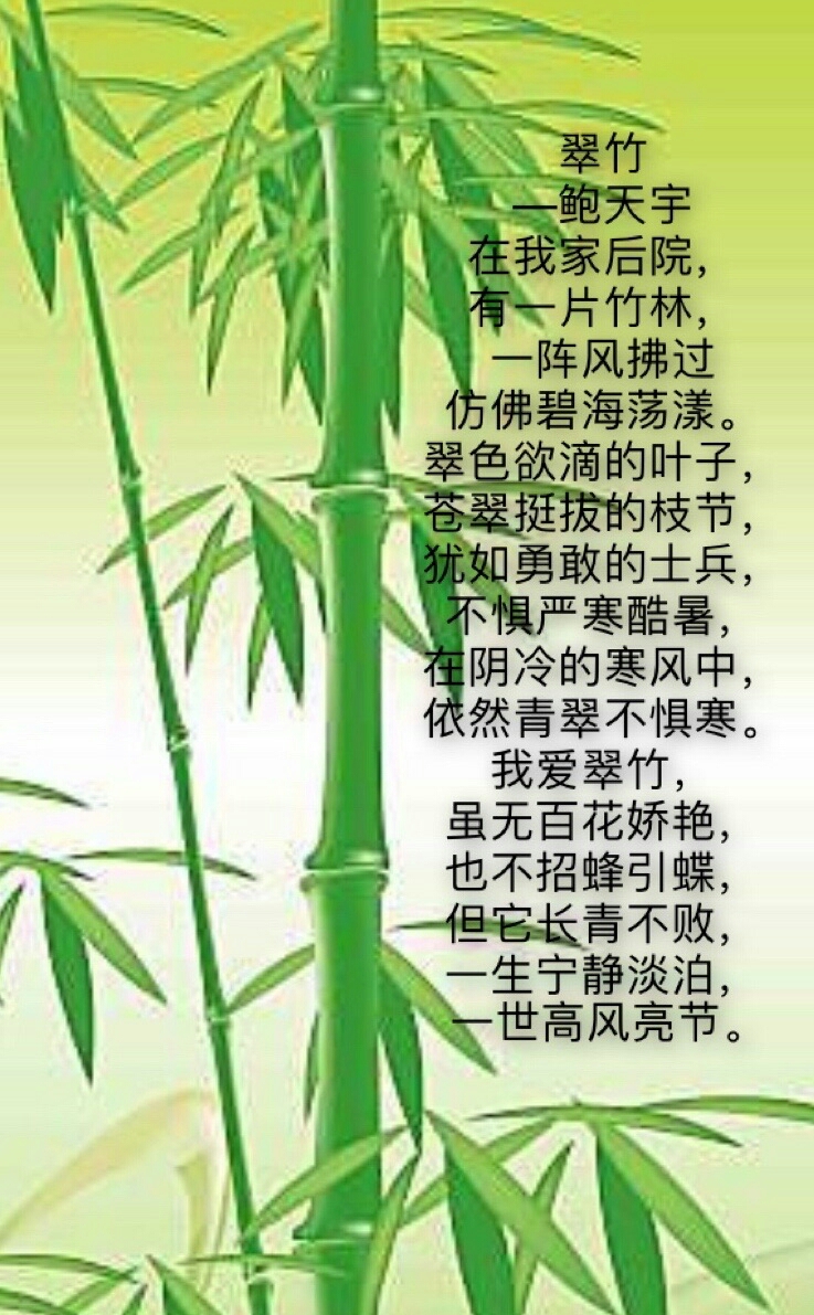 有关植物的诗歌短诗图片