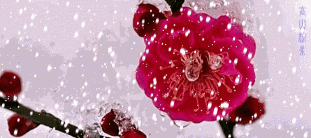 450_200gif 动态图 动图