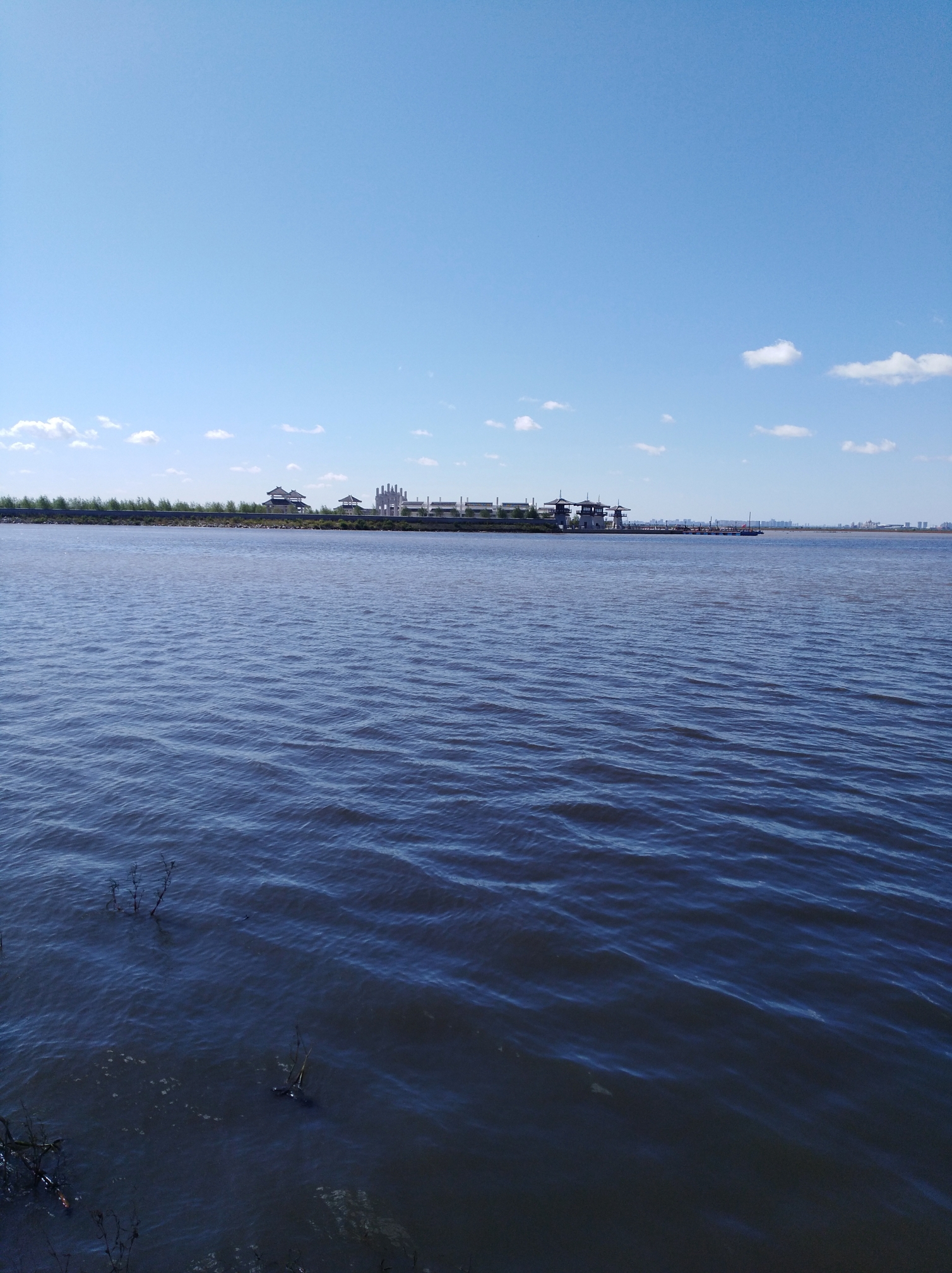 呼兰河口湿地游