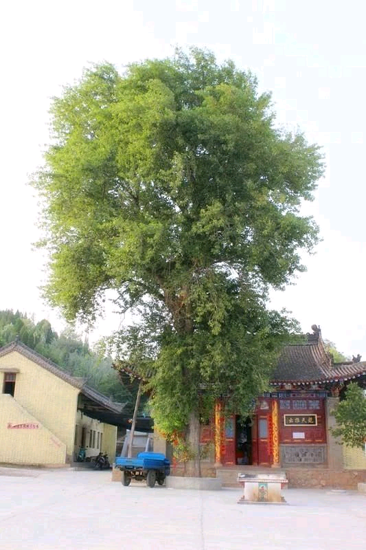 扶风西观山龙泉寺